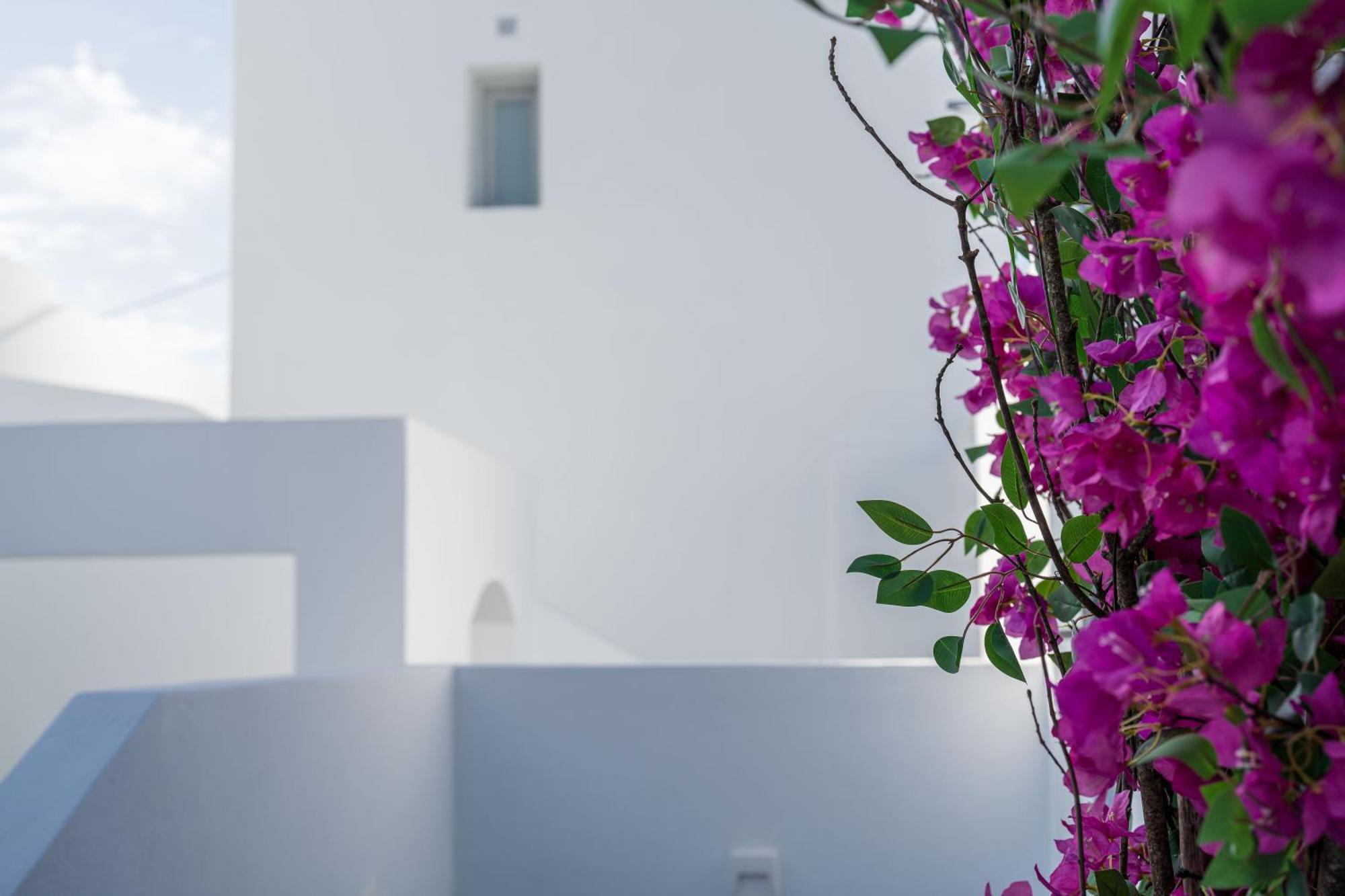 סנטוריני Cycladic Suites & Spa מראה חיצוני תמונה